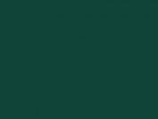 RAL 6005 зеленый