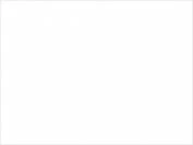 p1 RAL 9003 белый